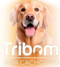 Tribom pra Cachorro